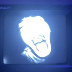 Cover of Jorell's Song