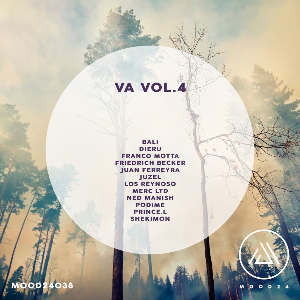 Picture of VA Vol.4