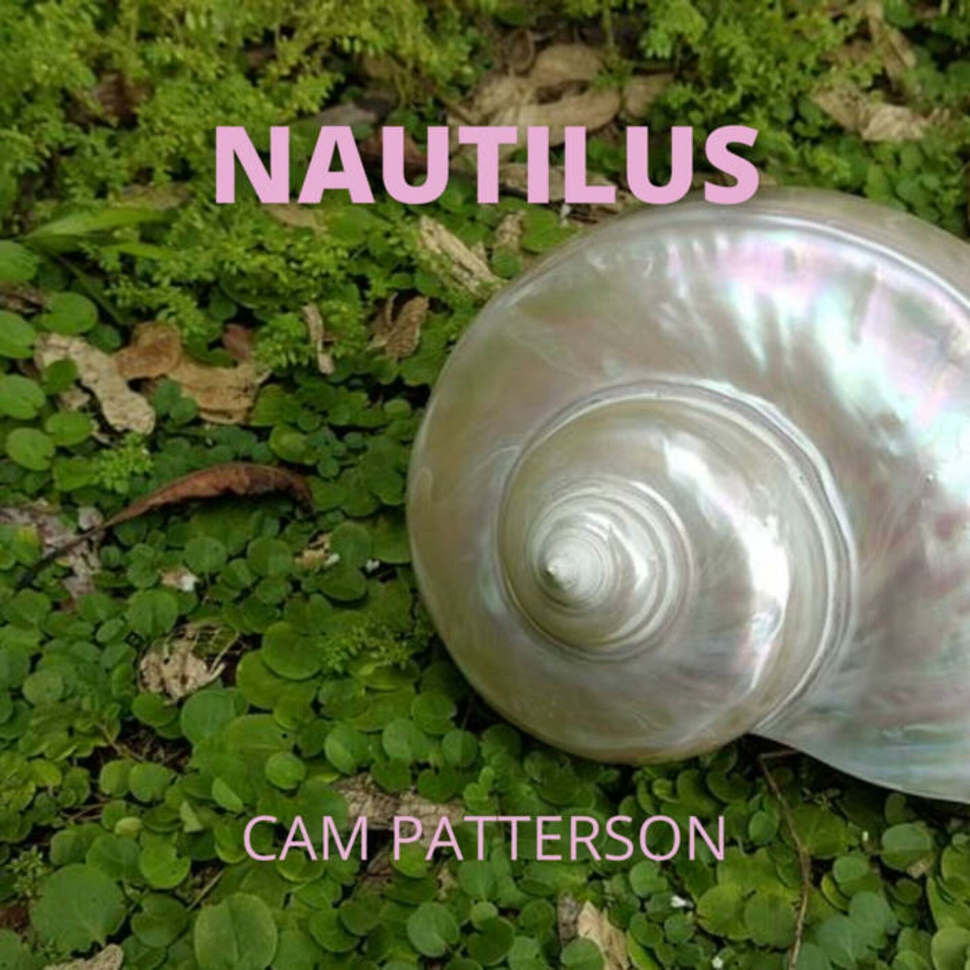 Album cover of Nautilus