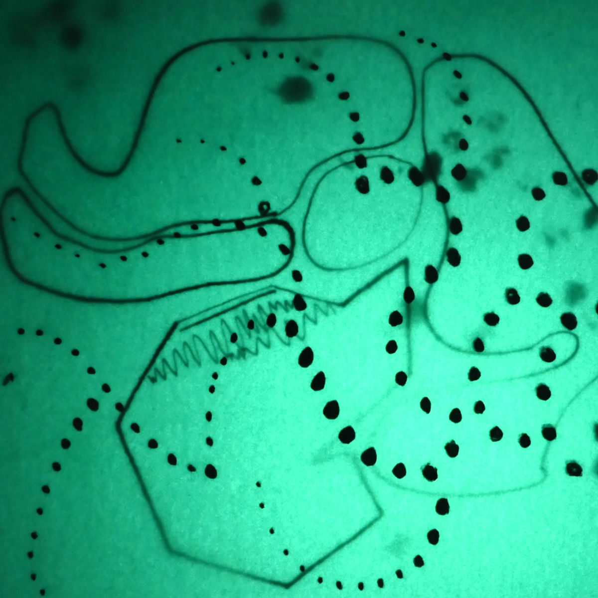 Album cover of Kraken