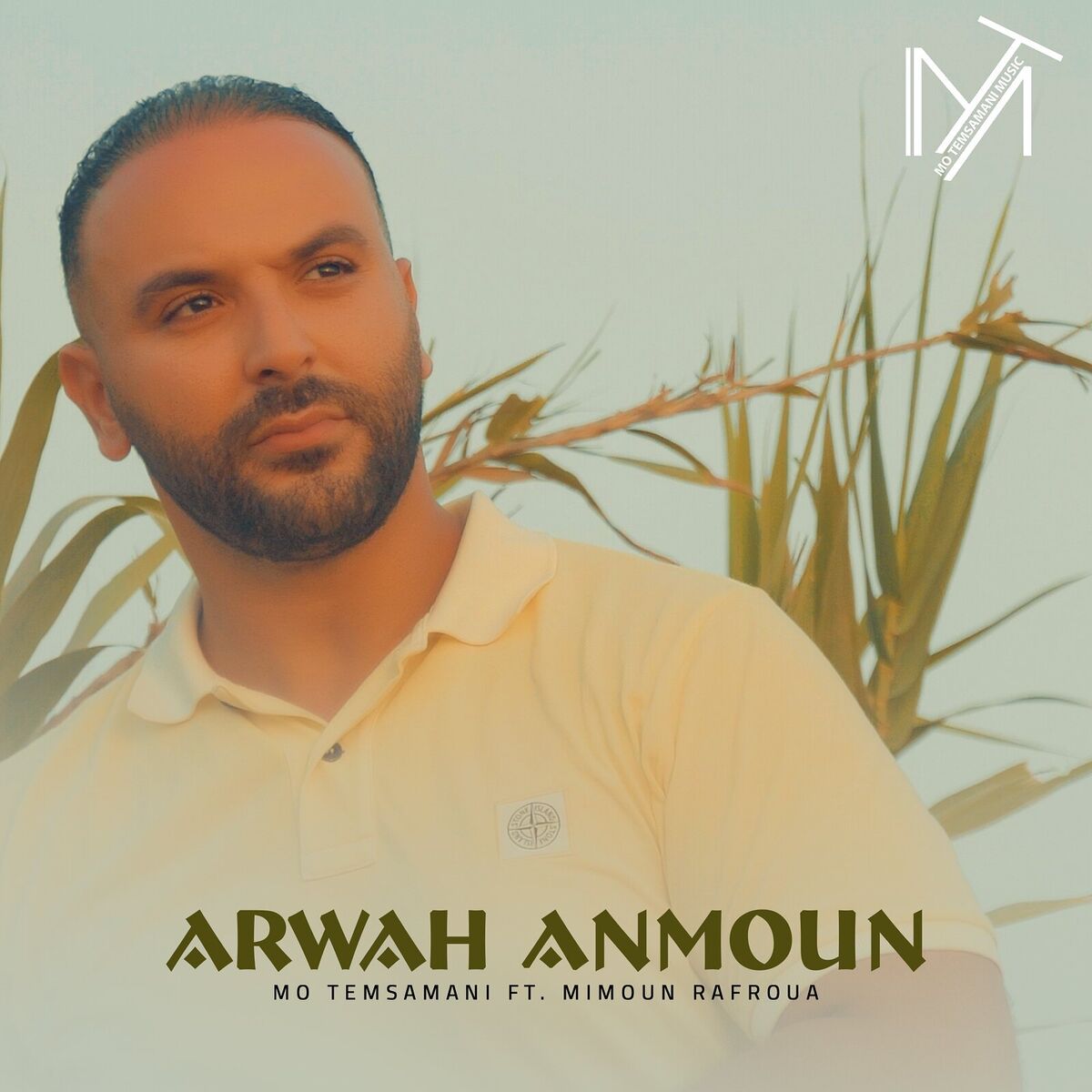 Album cover of Arwah Anmoun
