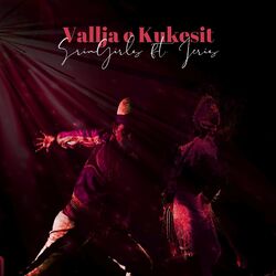 Cover of Vallja E Kukesit