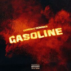Cover of Gasoline