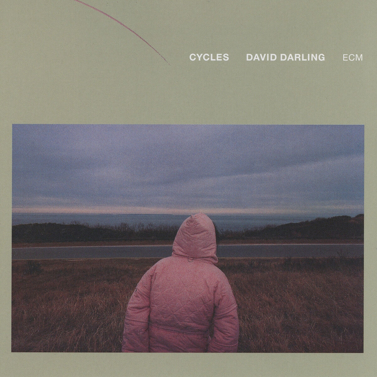 Album cover of Cycles