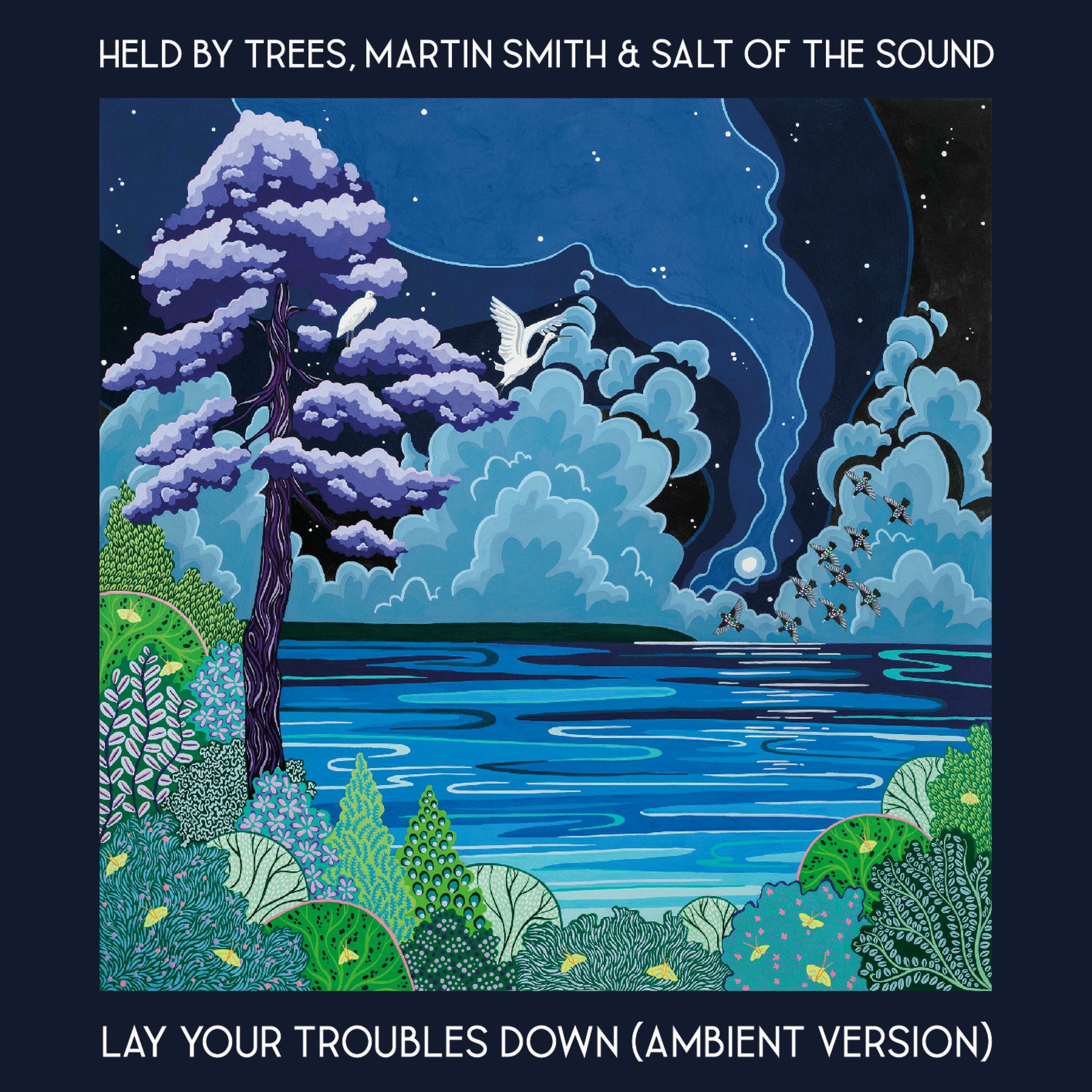 Album cover of Lay Your Troubles Down (Ambient Version)