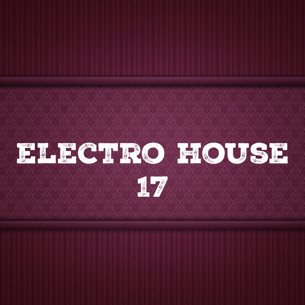 Picture of Electro House, Vol. 17