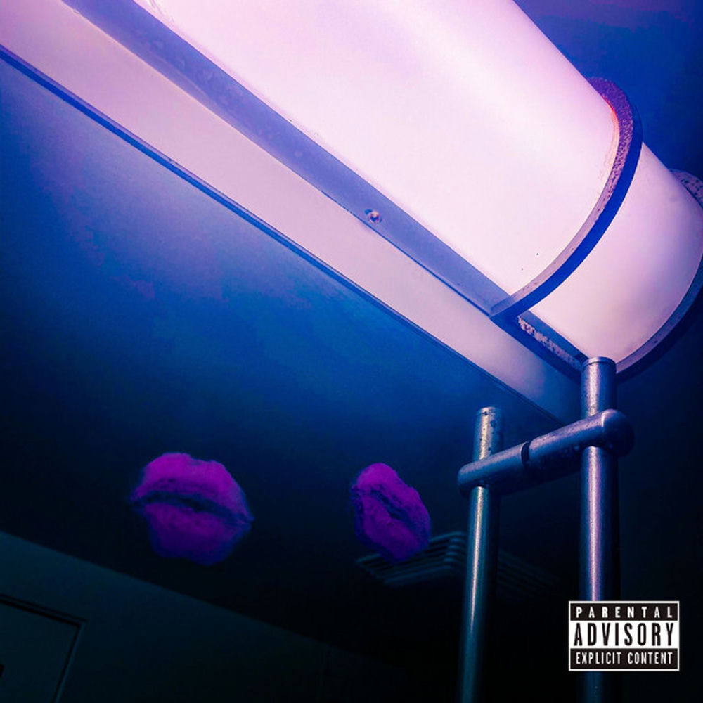 Pochette The Night Is Young II