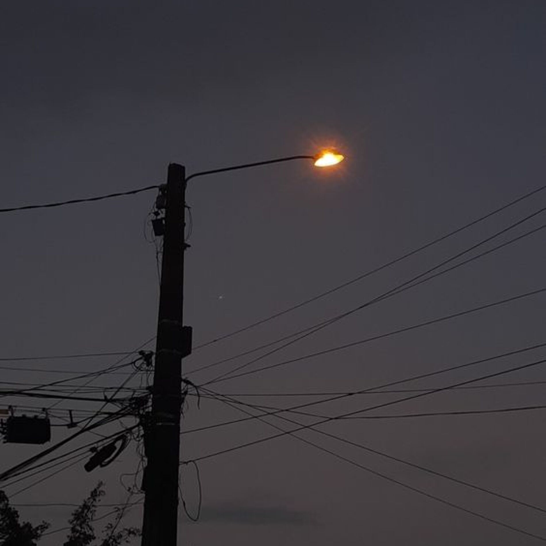 Album cover of Last Light