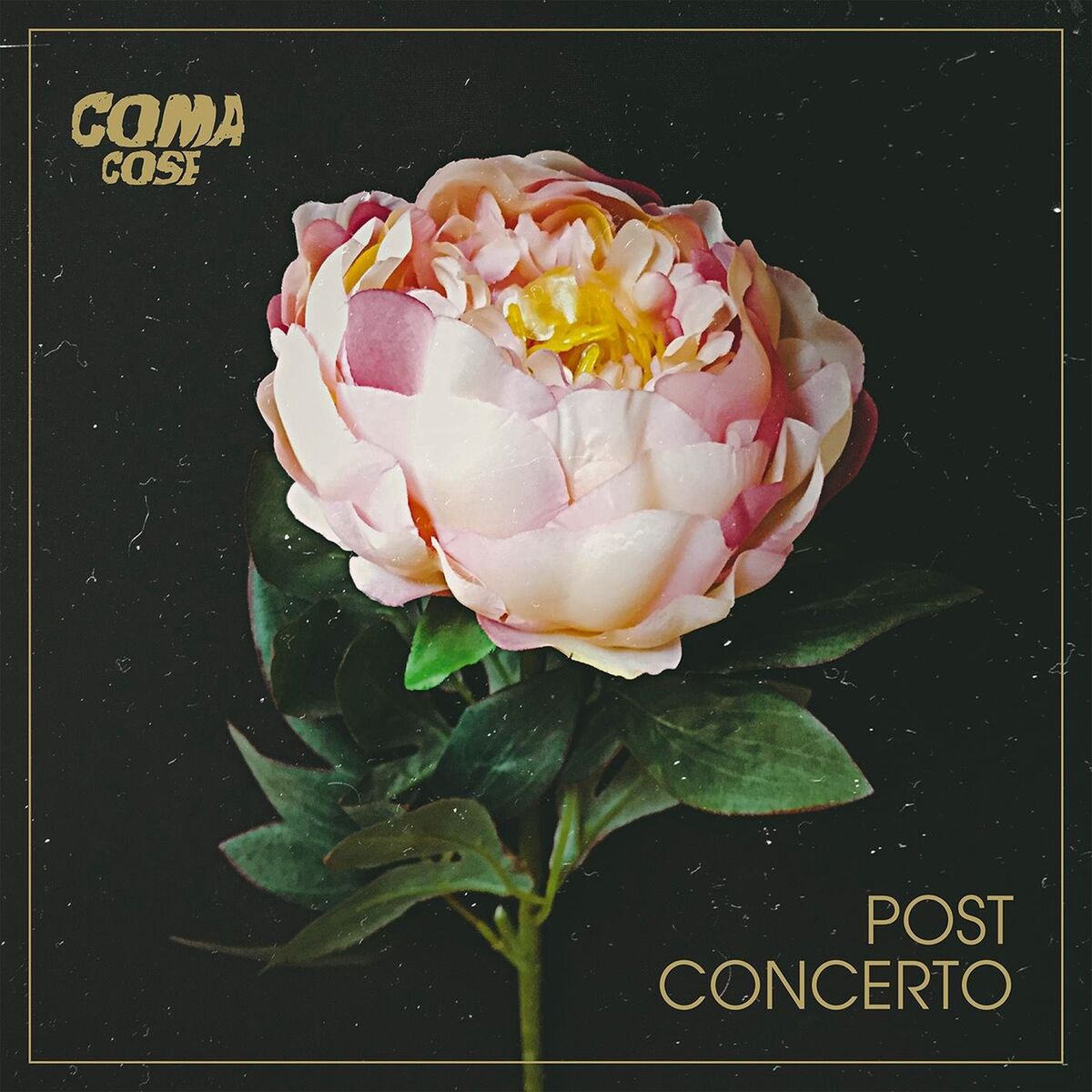 Album cover of Post concerto
