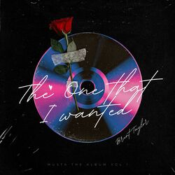 Cover of The one that I wanted