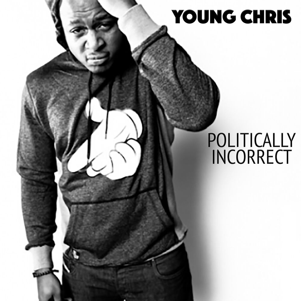 Picture of Politically Incorrect