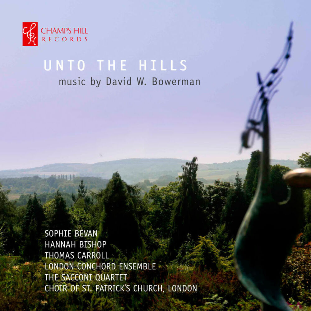 Picture of David W. Bowerman: Unto the Hills