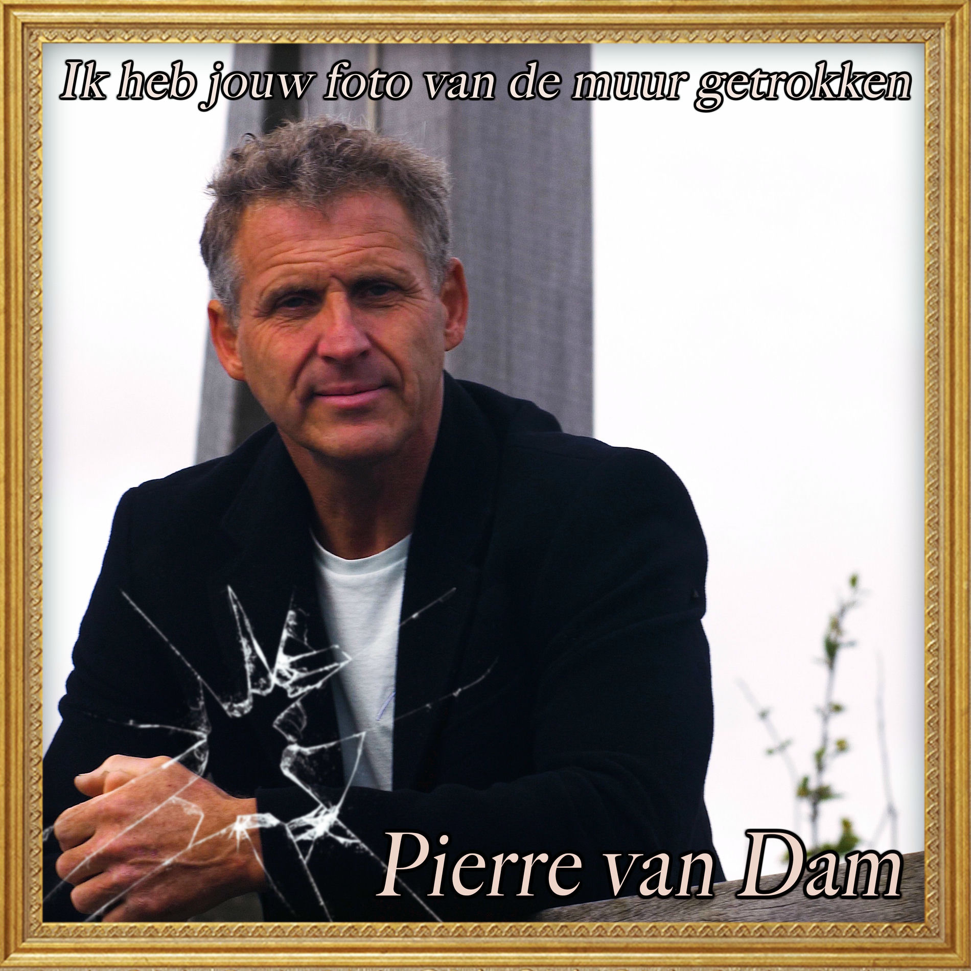 Album cover of Ik heb jouw foto van de muur getrokken