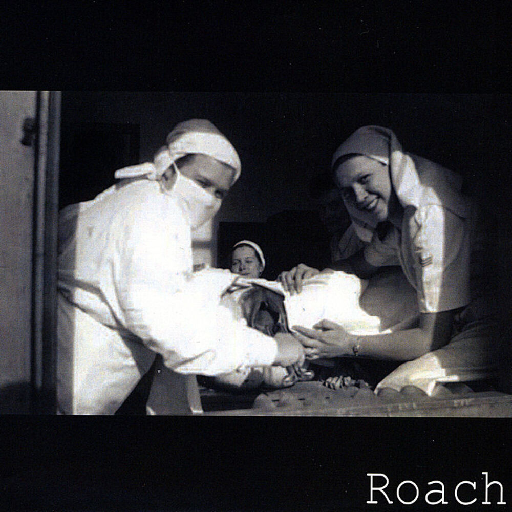 Picture of Roach