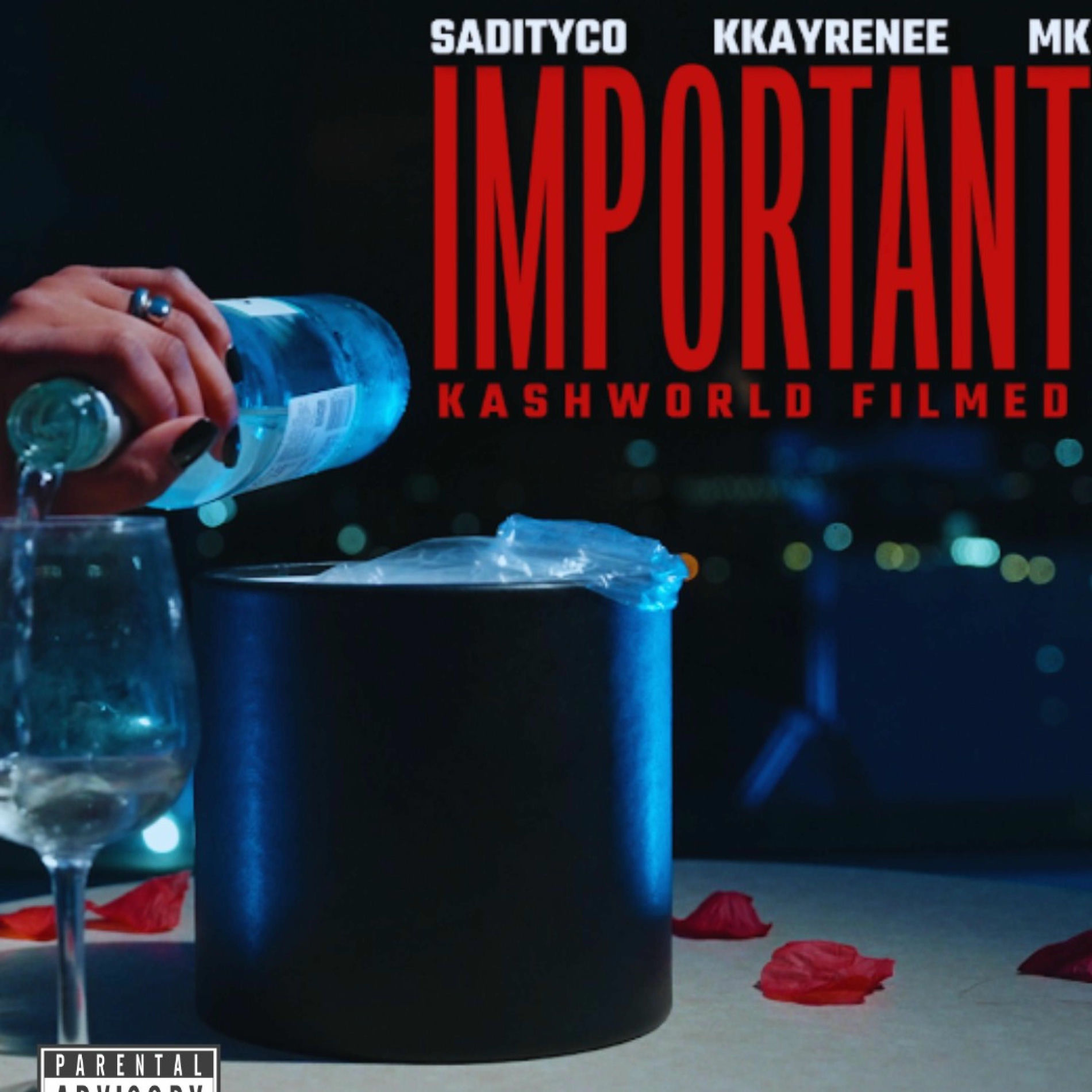 Album cover of Important (feat. Kkayrenee & Mk)
