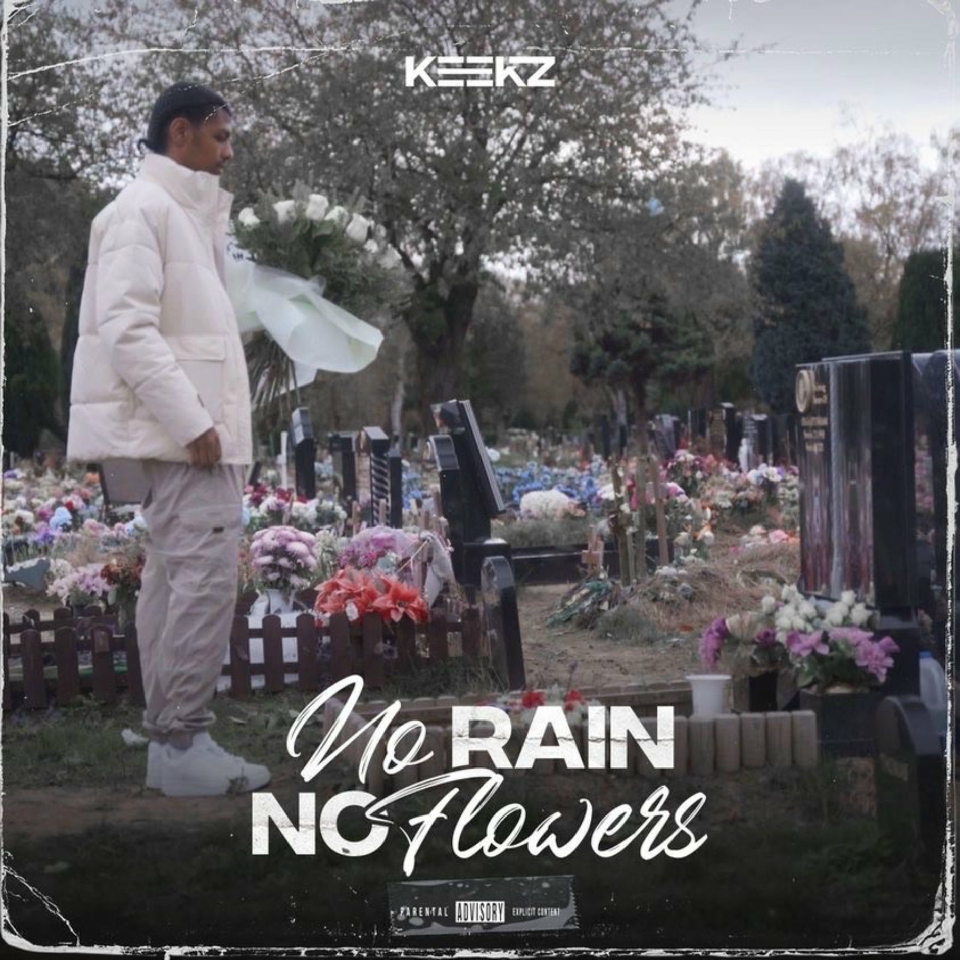 Album cover of No Rain No Flowers