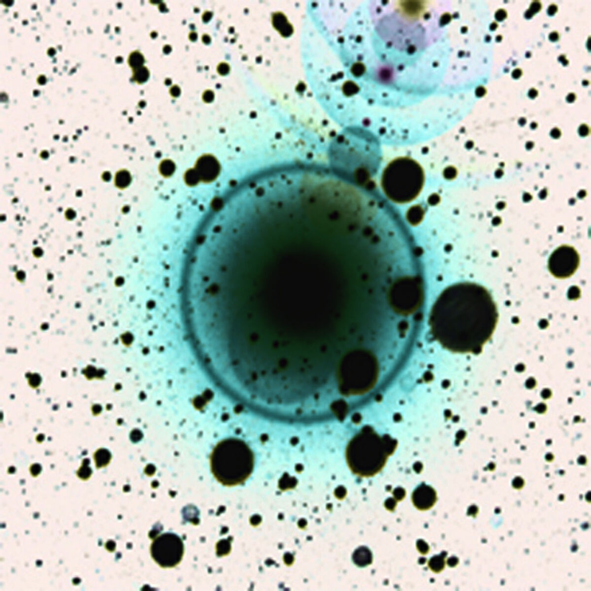 Album cover of Simple Science EP