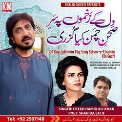 Cover of Dil Kay Zakkon Pay
