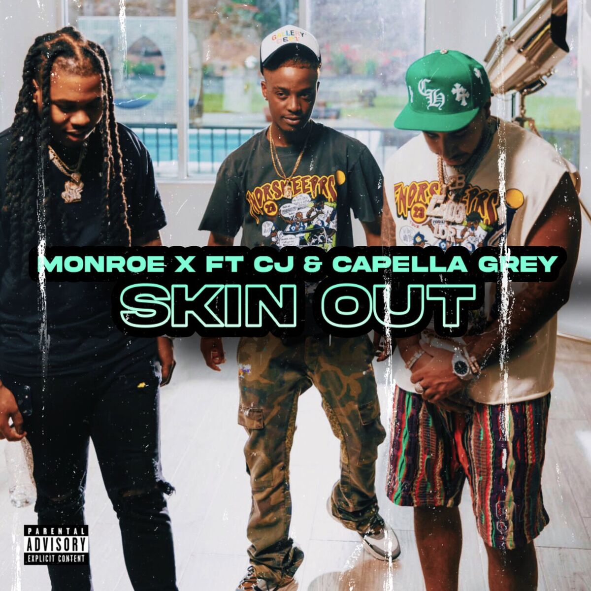 Album cover of Skin Out