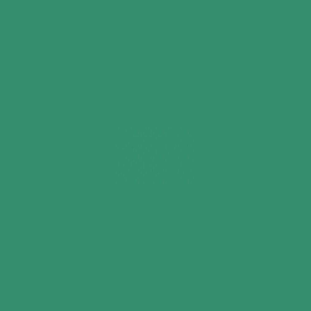Picture of F4F