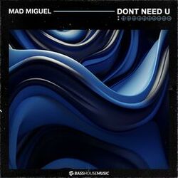 Cover of Don't Need U