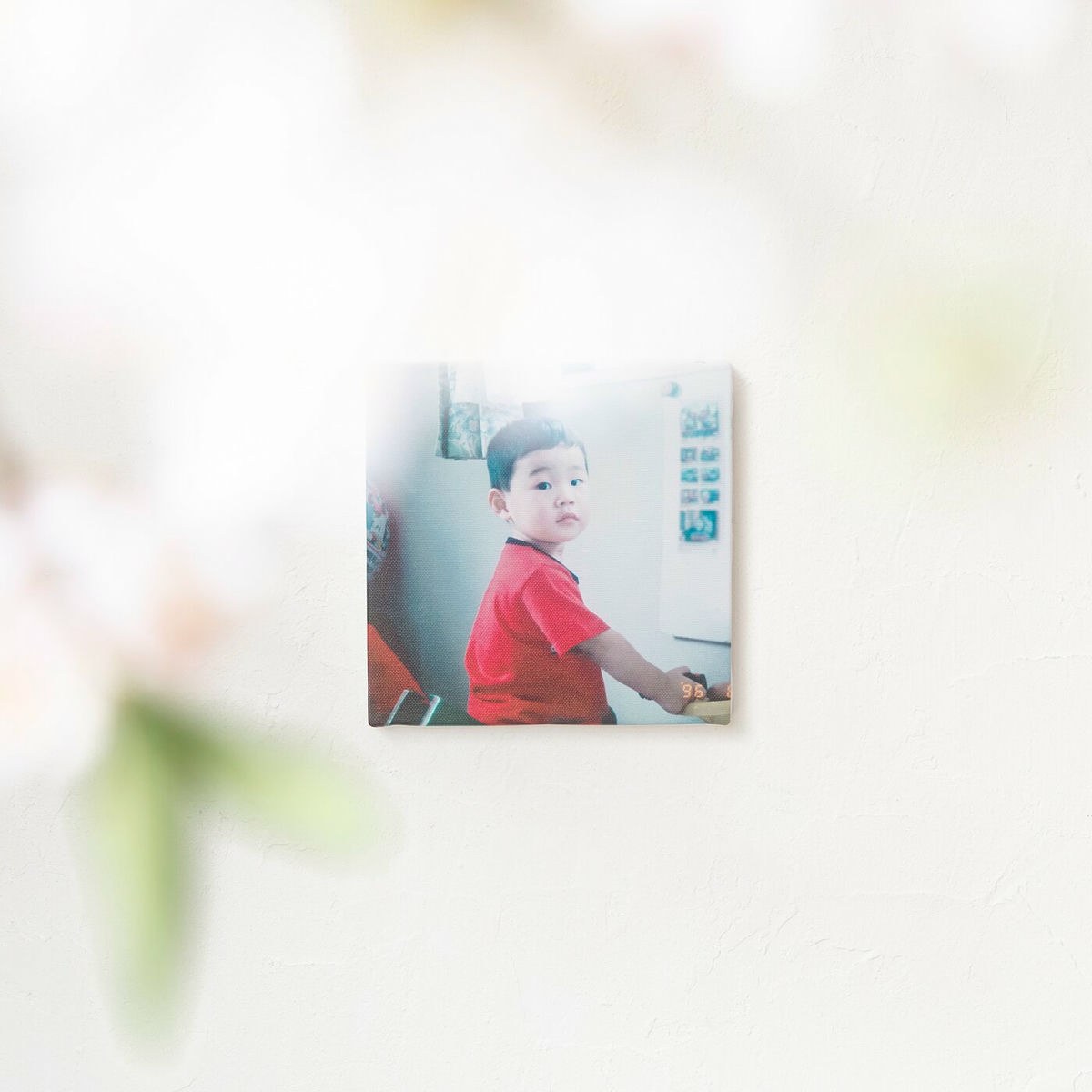 Album cover of Natsu no Sakura (feat. Galileo Galilei)