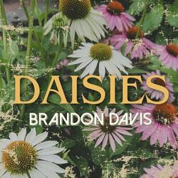 Cover of Daisies