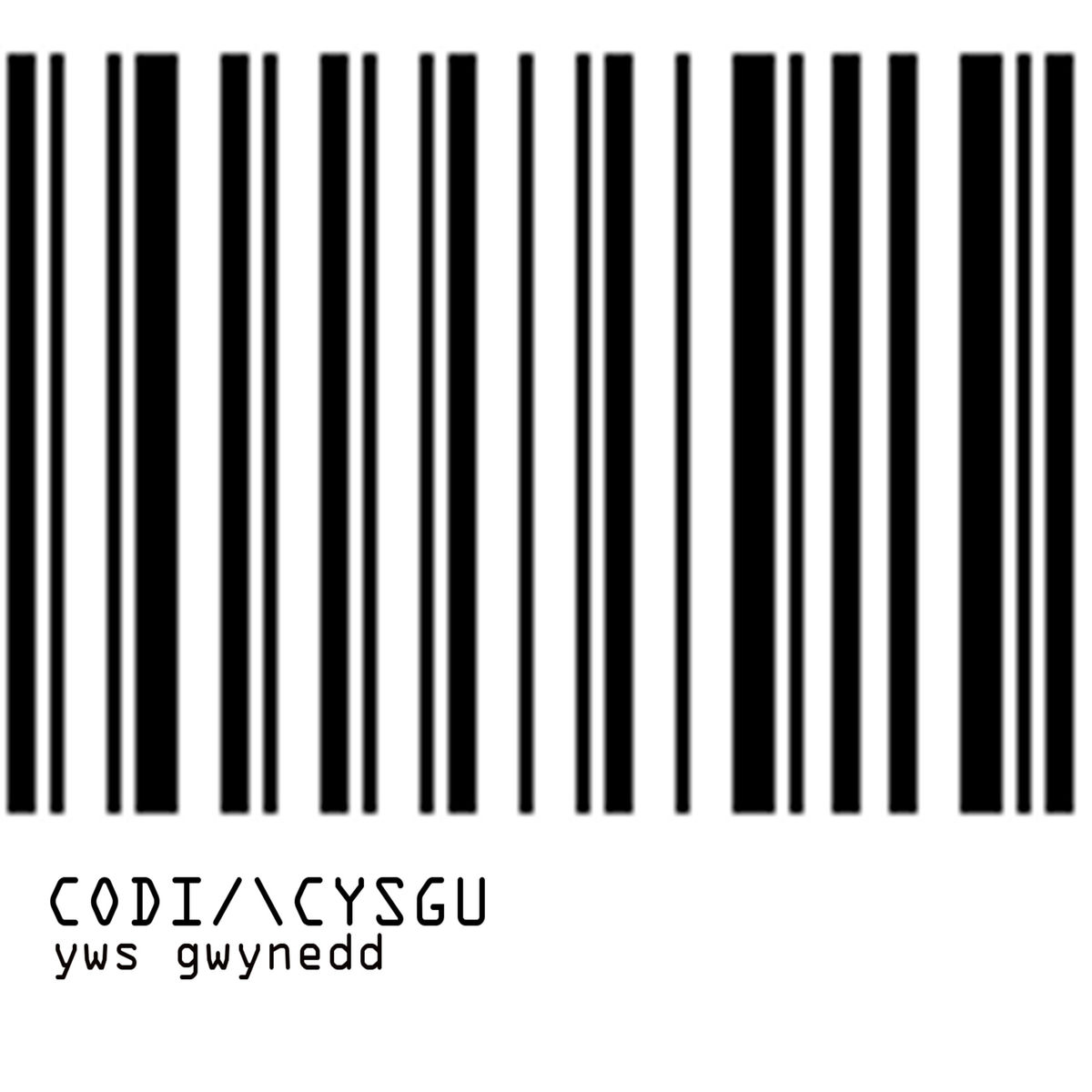 Album cover of Codi /\ Cysgu