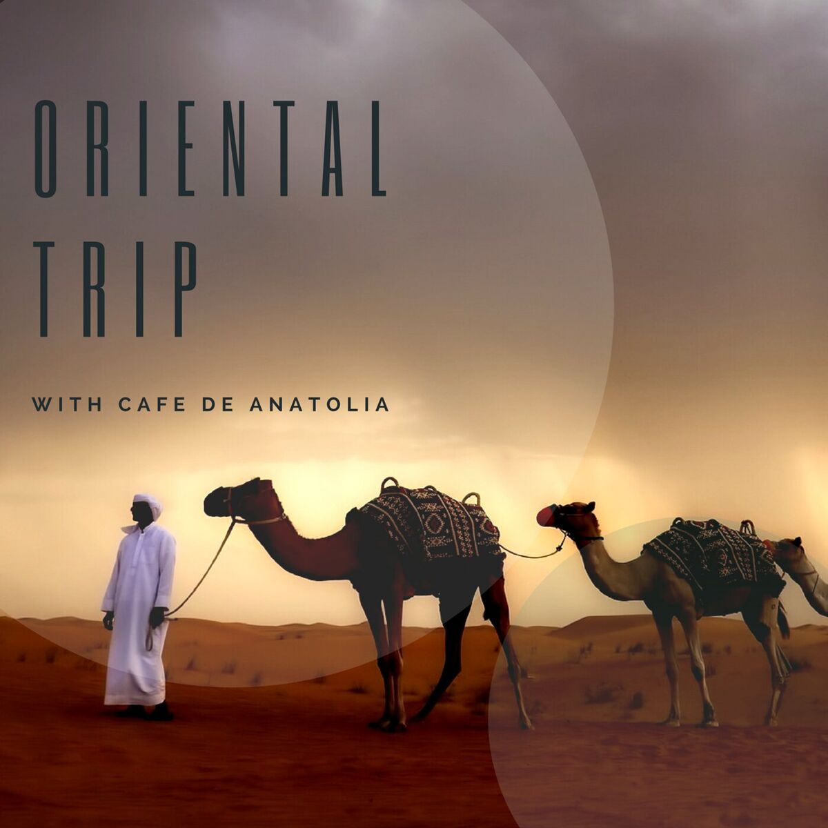 Album cover of Oriental Trip