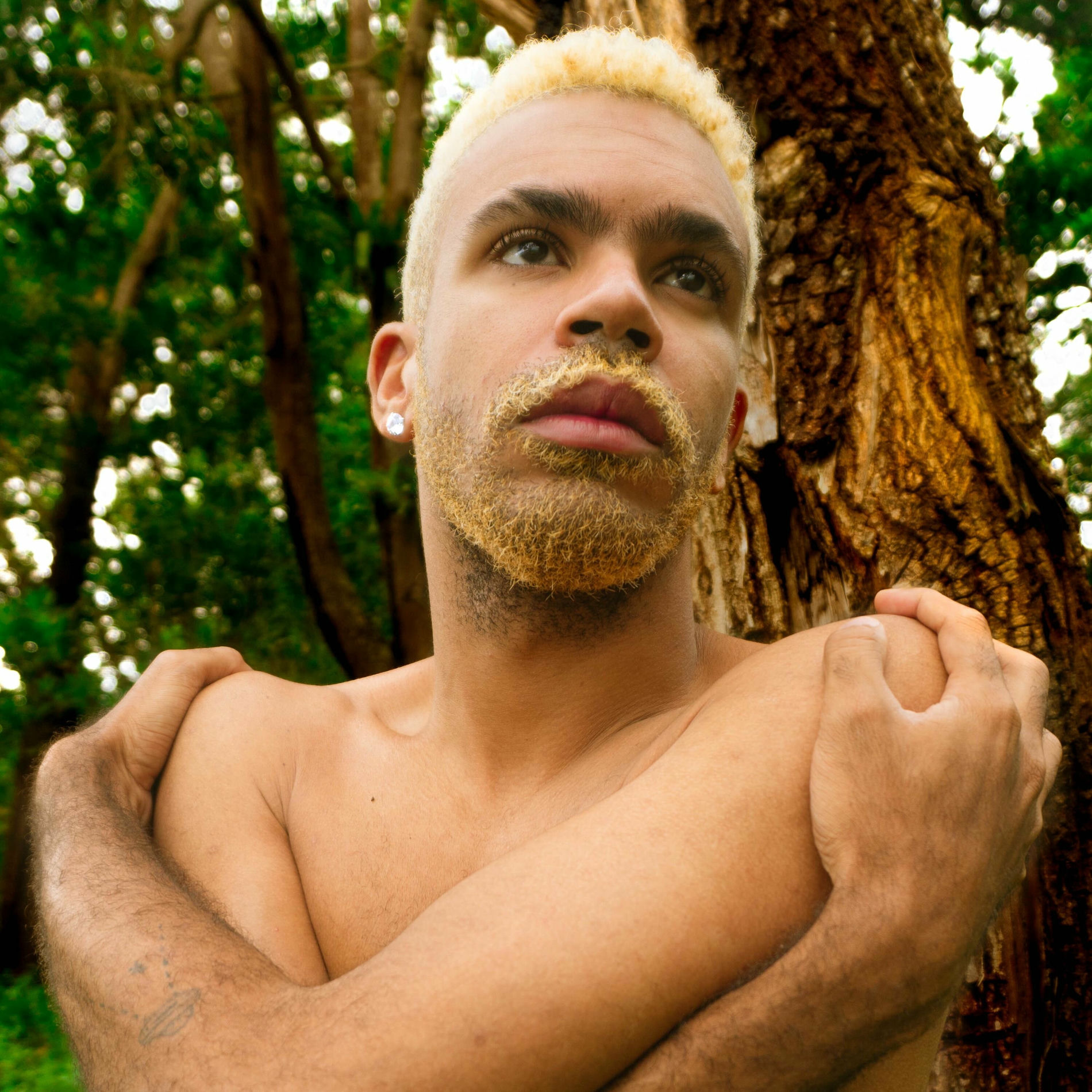 Album cover of Jaqueira
