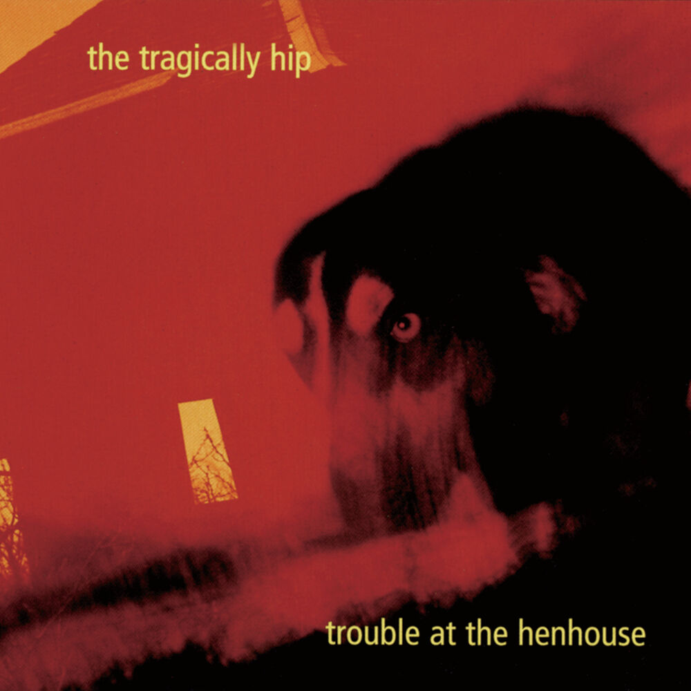 Picture of Trouble At The Henhouse