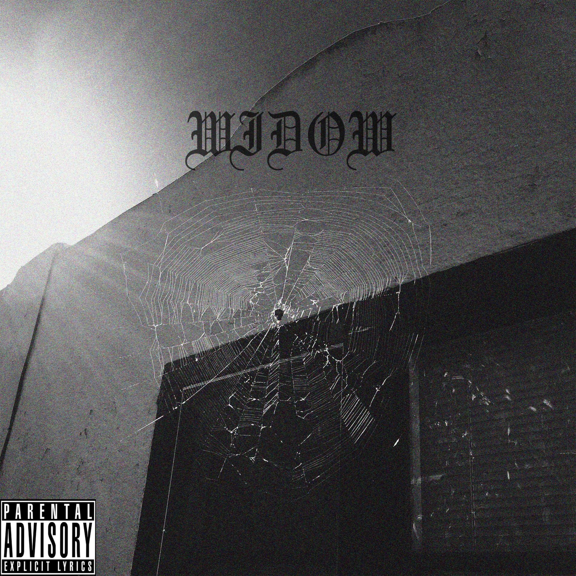 Album cover of Widow
