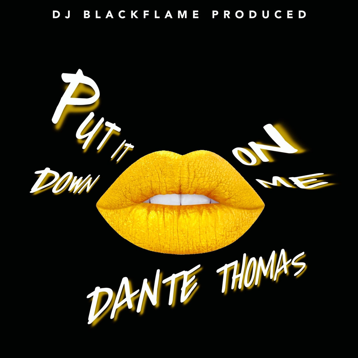 Album cover of Put It Down On Me