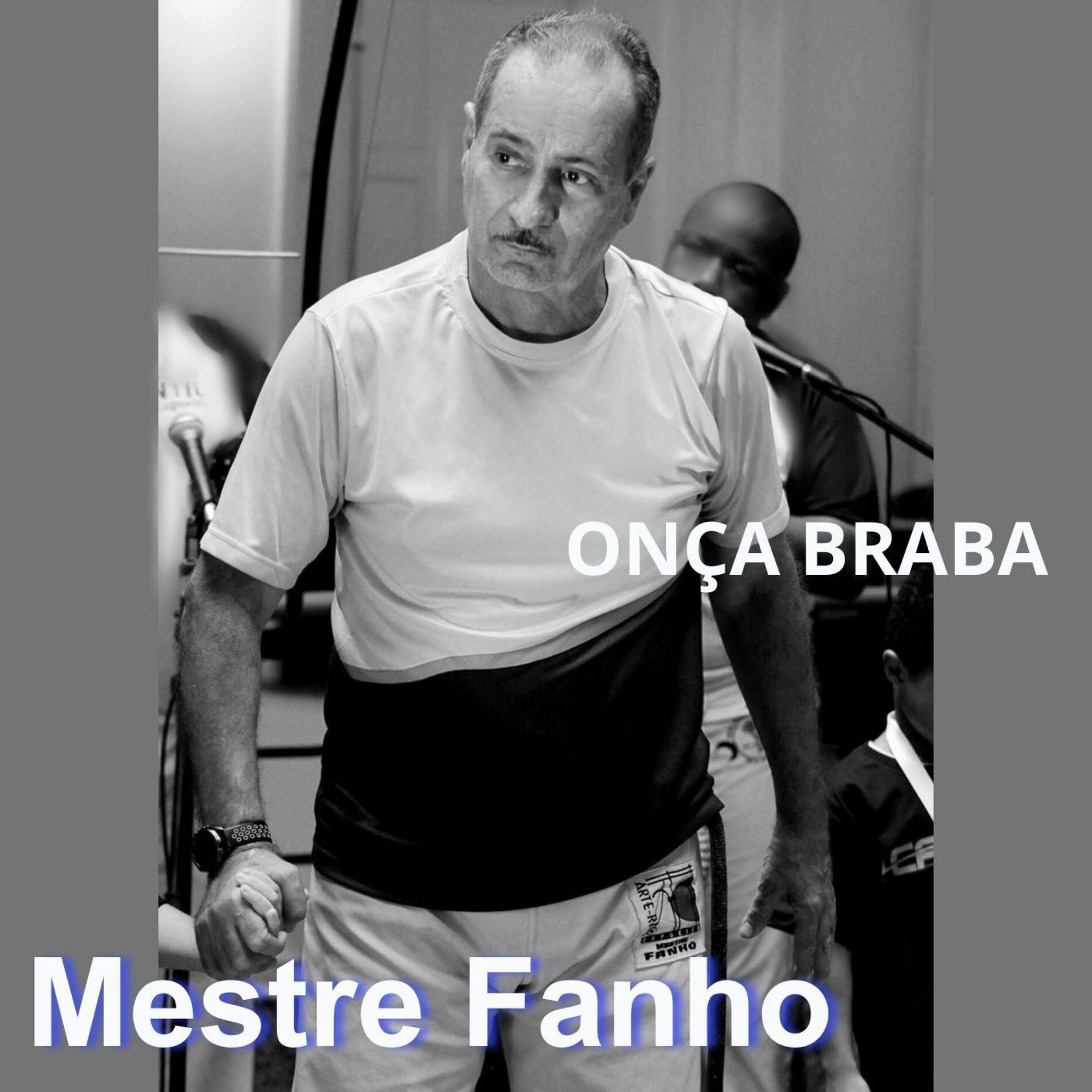 Album cover of ONÇA BRABA