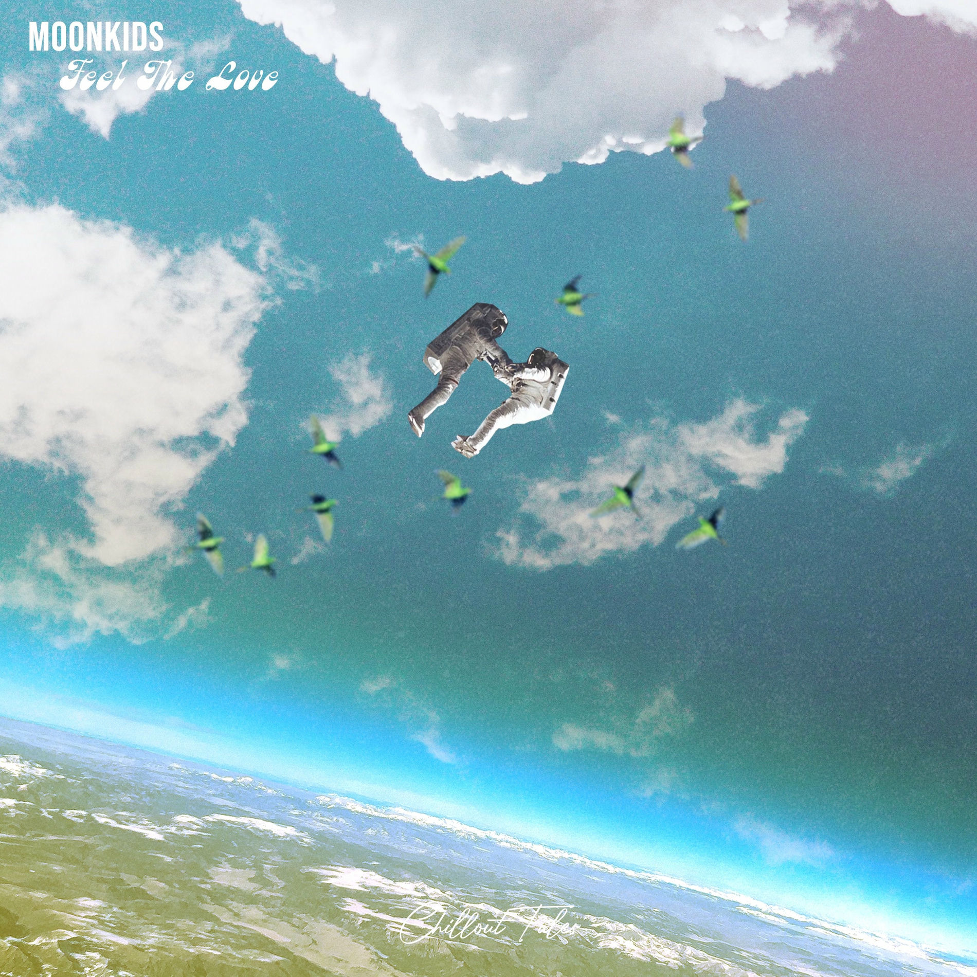 Album cover of Feel The Love