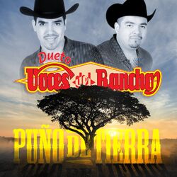 Cover of Puño de Tierra