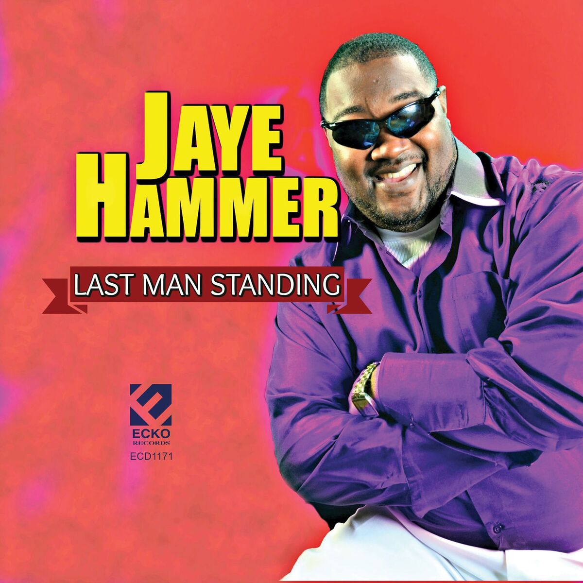 Album cover of Party at Home