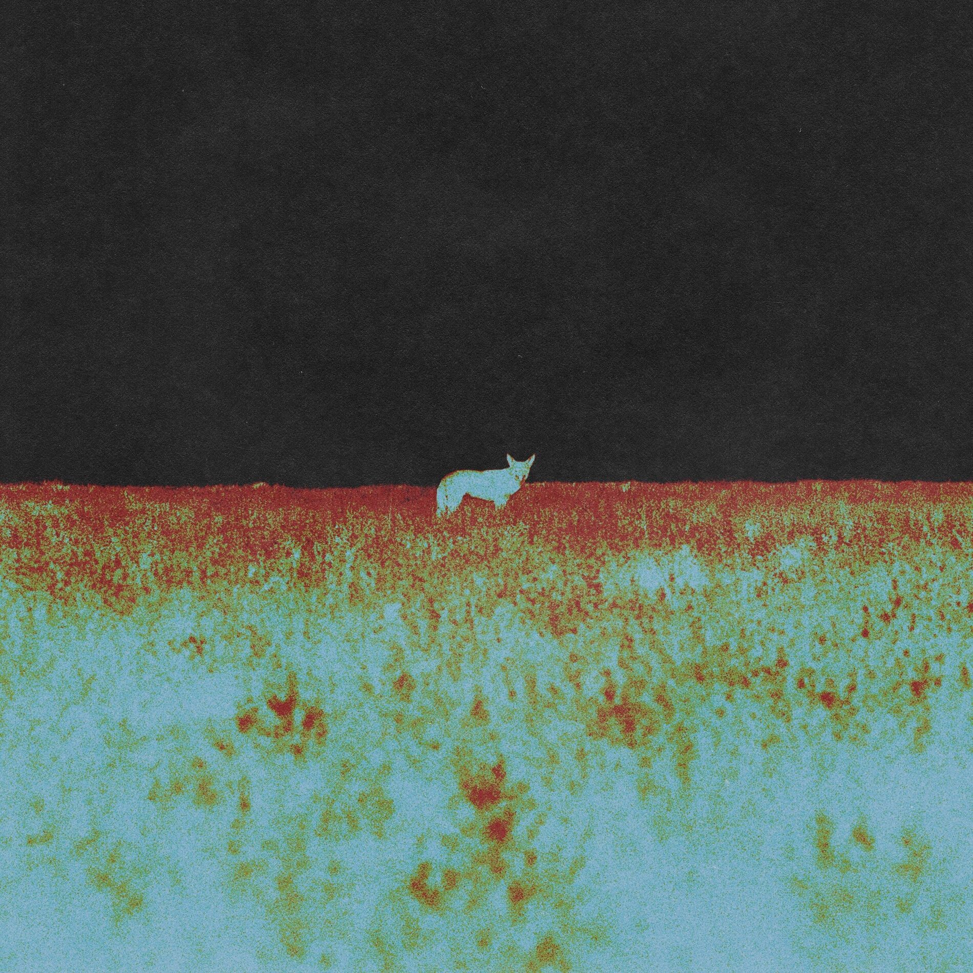 Album cover of Spectator
