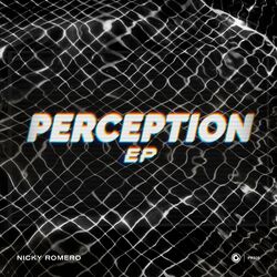 Cover of Perception EP