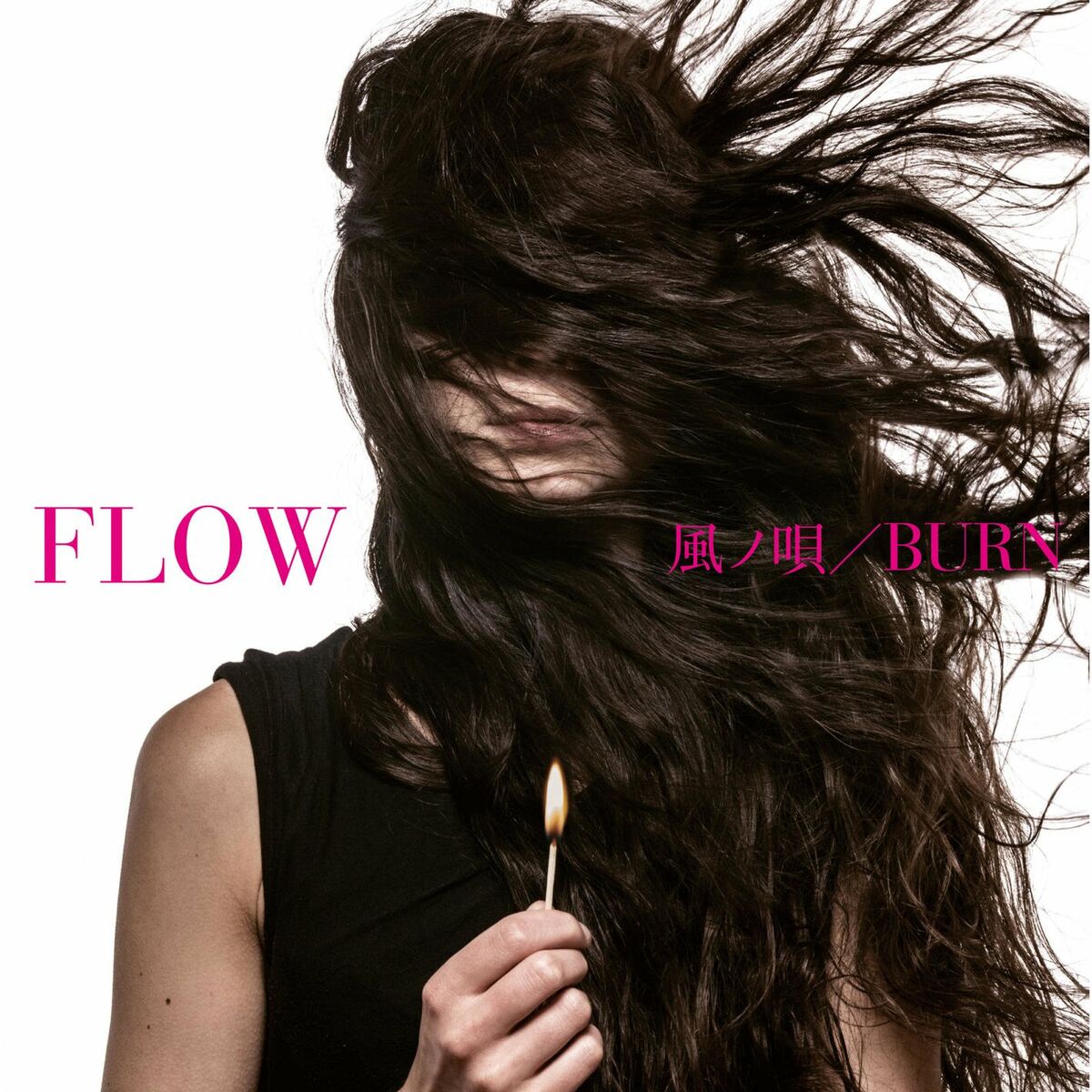 Album cover of Burn