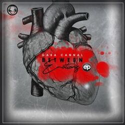 Cover of Between Emotions