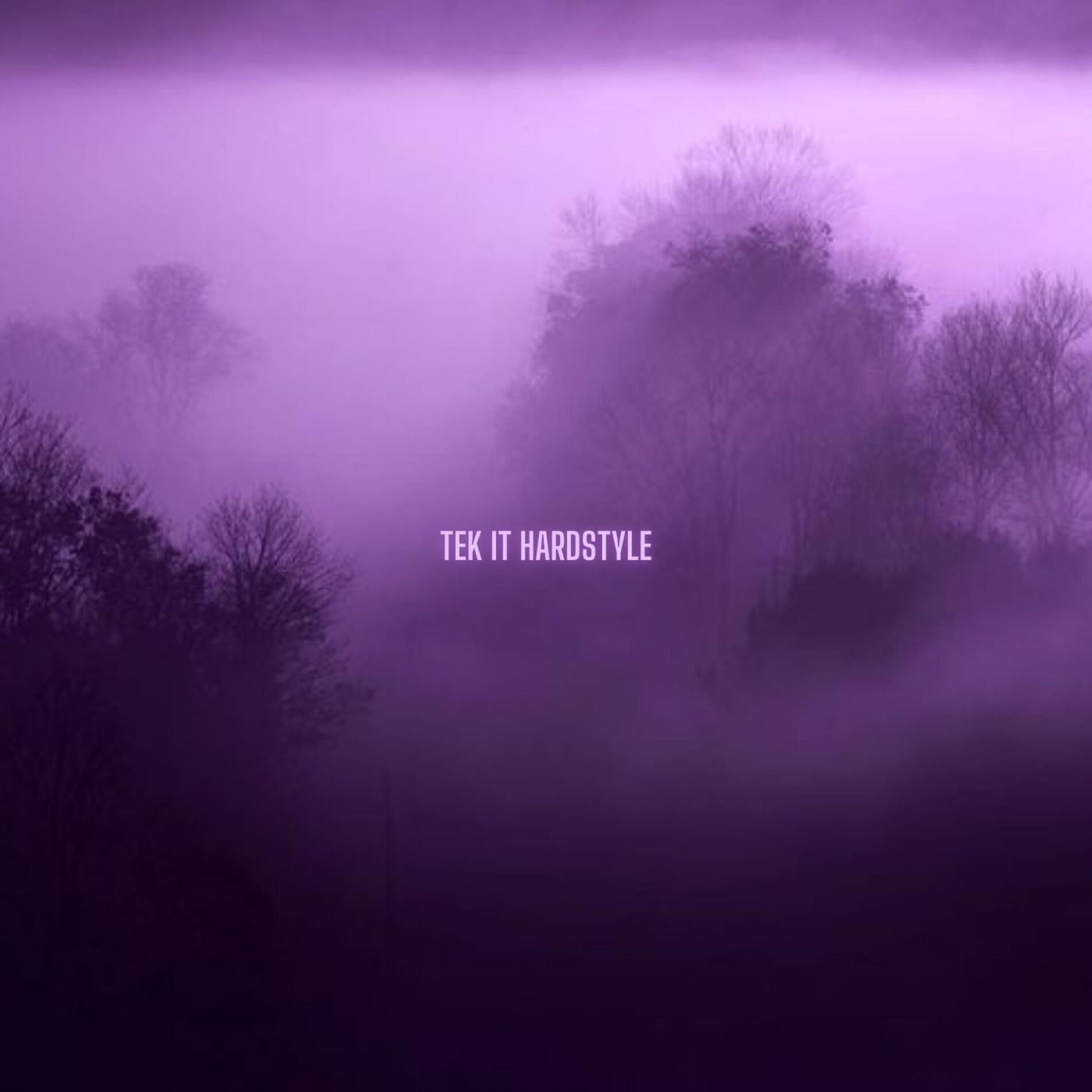 Album cover of TEK IT HARDSTYLE