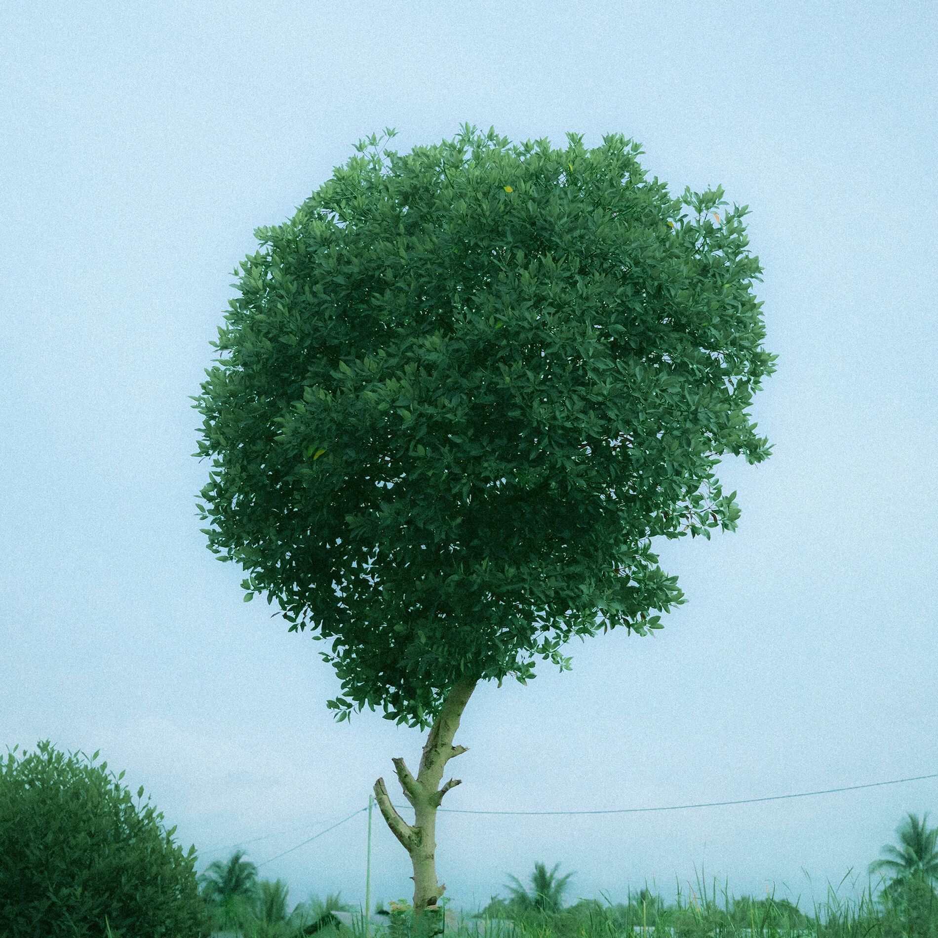 Album cover of Separuh Hati