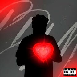 Cover of PDLM