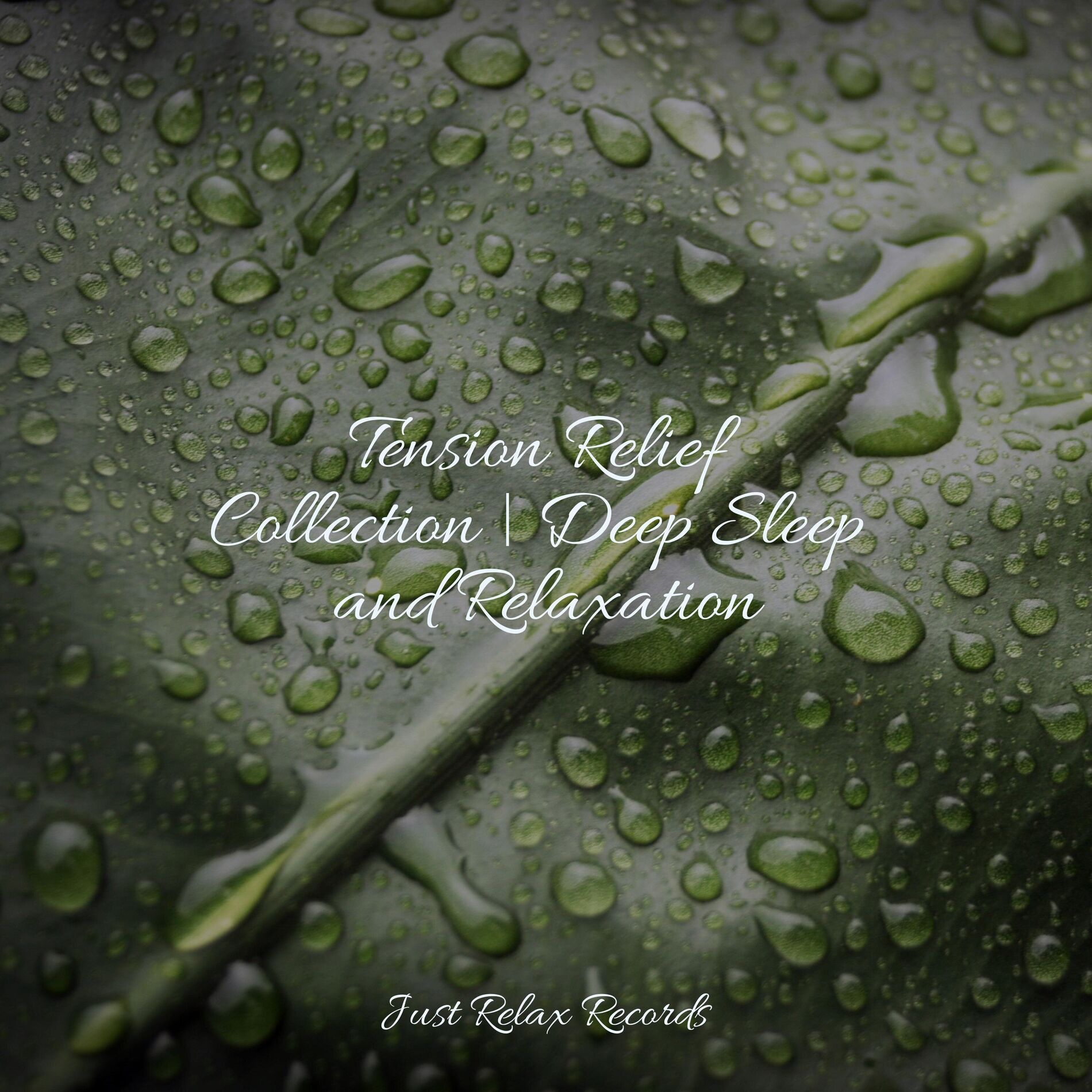 Album cover of Tension Relief Collection | Deep Sleep and Relaxation