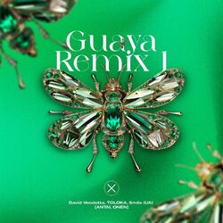 Cover of Guaya Remix 1