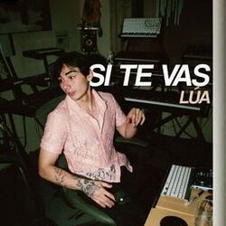 music cover