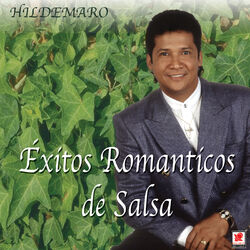 Cover of Éxitos Románticos De Salsa