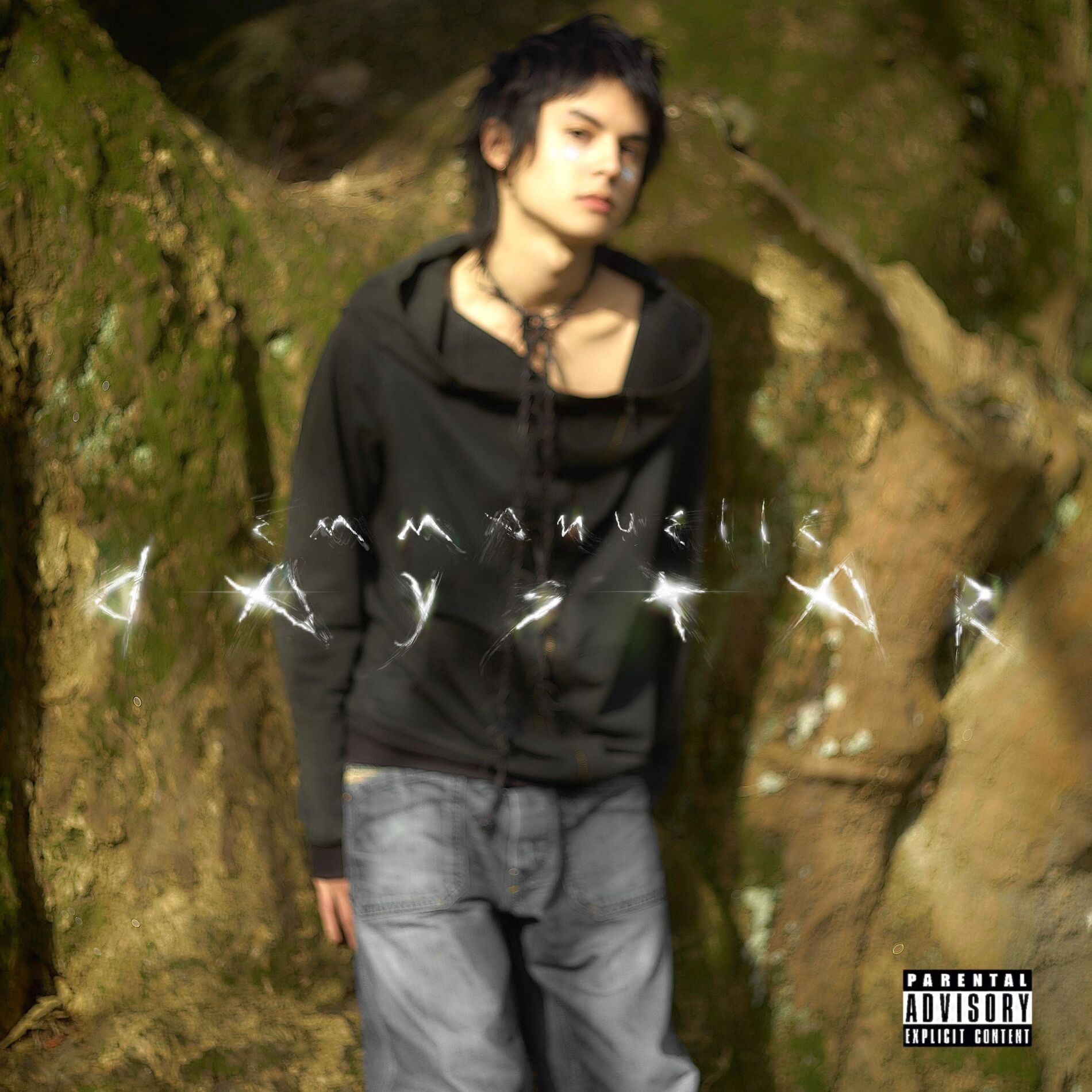 Album cover of Daystar