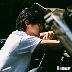 Cover of Runaway